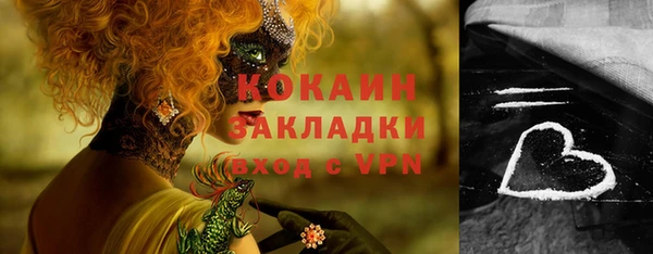 прущие грибы Гусев