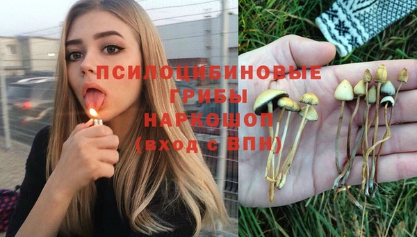 бошки Алексеевка