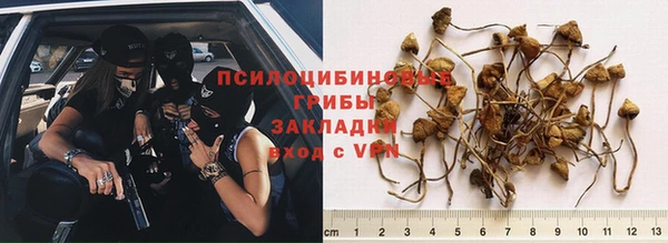 наркотики Алзамай