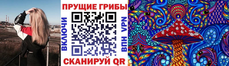 Галлюциногенные грибы Psilocybine cubensis  Лысьва 